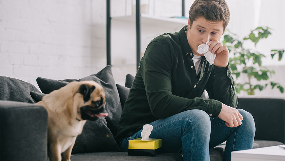 Purchasing an air purifier is one of the smartest methods to improve your residence’s indoor air quality. Find out more about the three top solutions. 